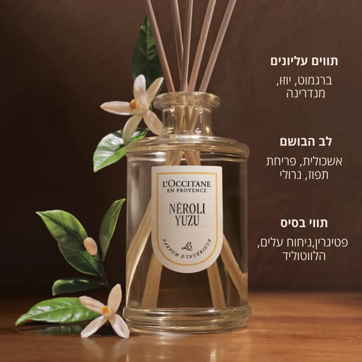 תמונה ממוזערת 2