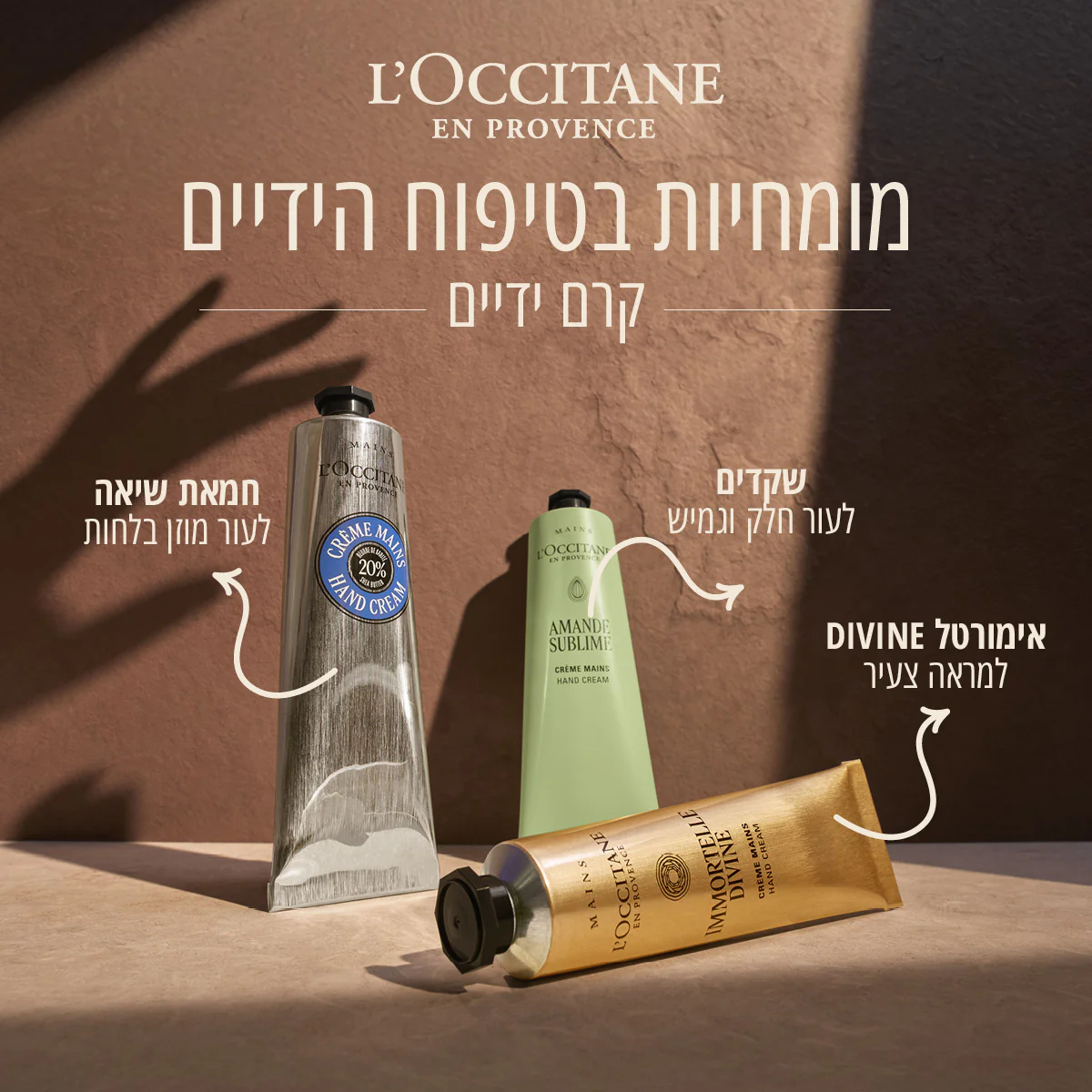 תמונה ממוזערת 5