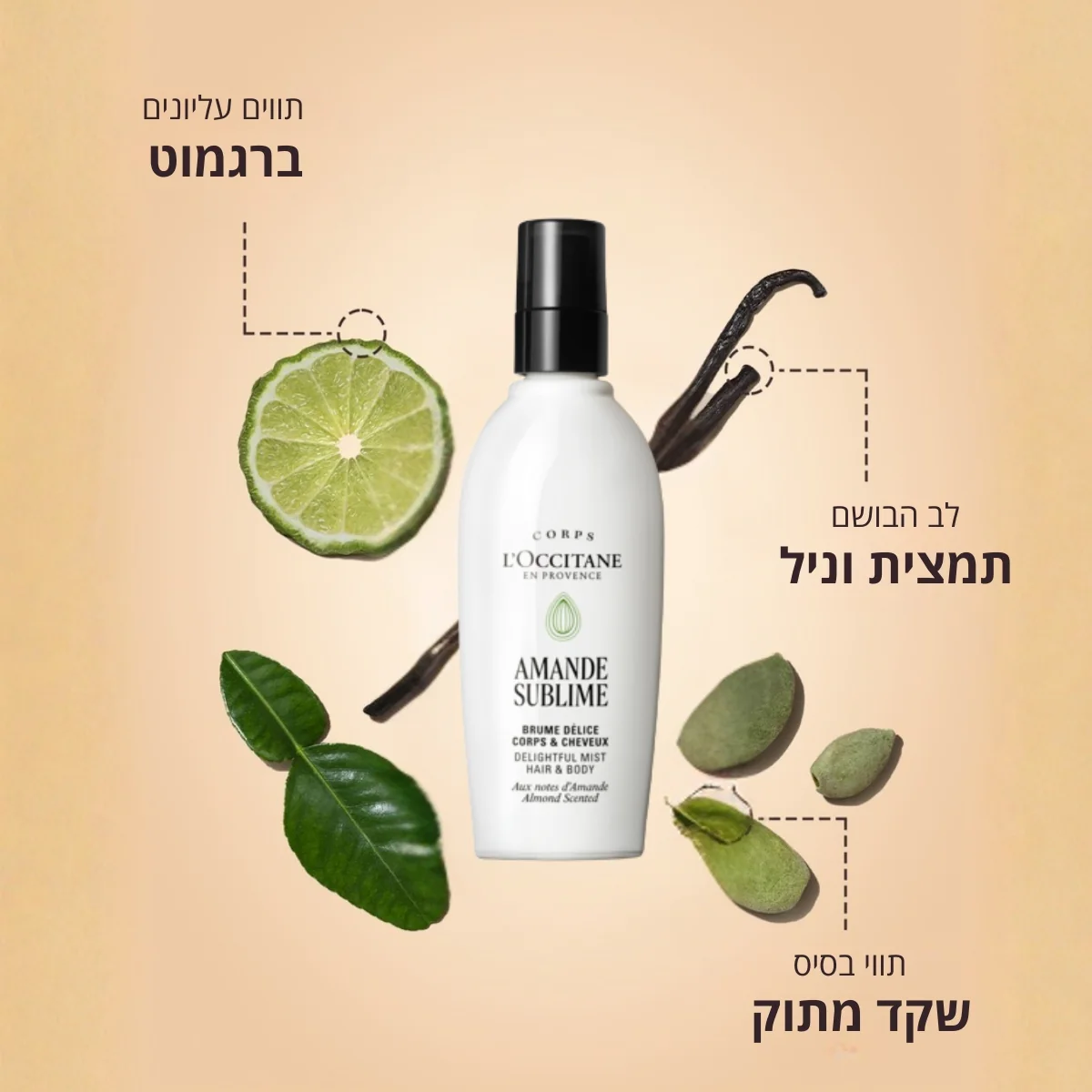 תמונה ממוזערת 4
