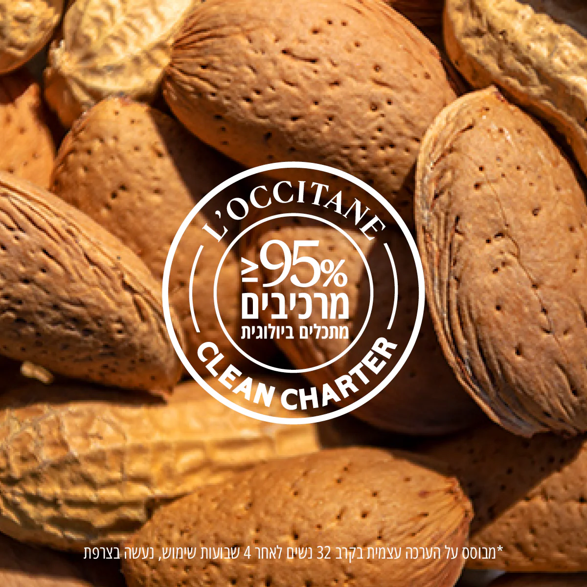 תמונה ממוזערת 7