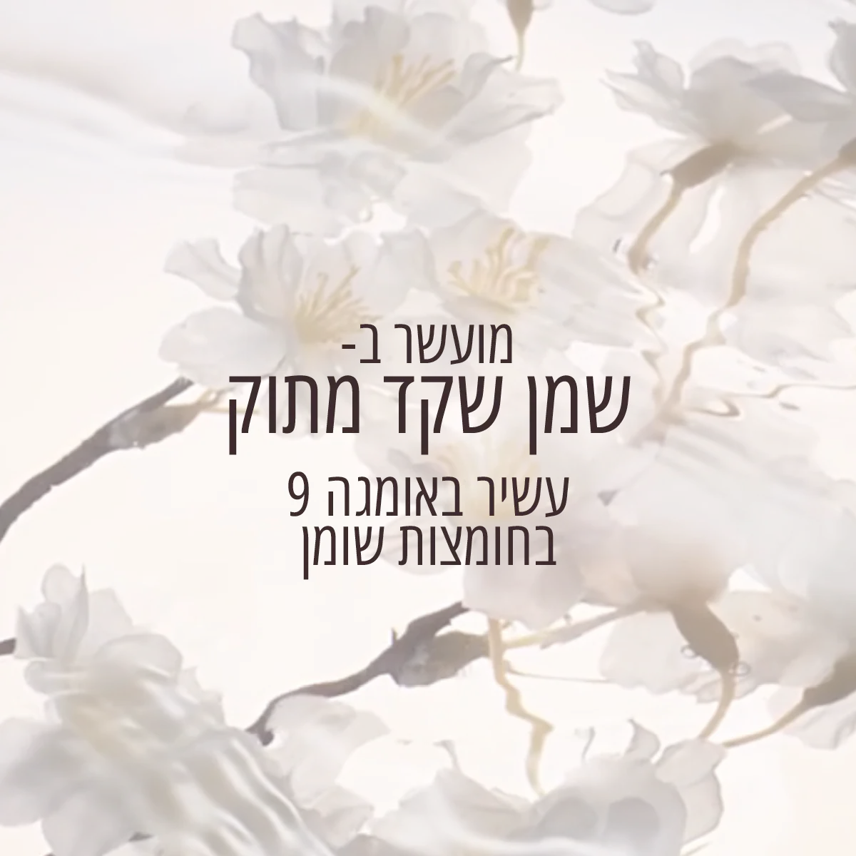 תמונה ממוזערת 5