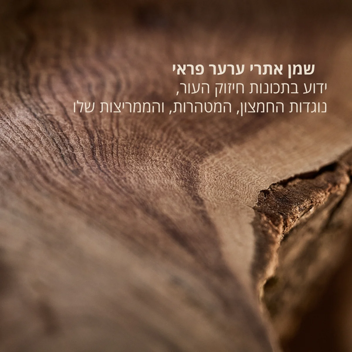 תמונה ממוזערת 4