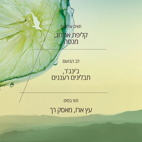 תמונה ממוזערת 2