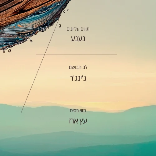 תמונה ממוזערת 2