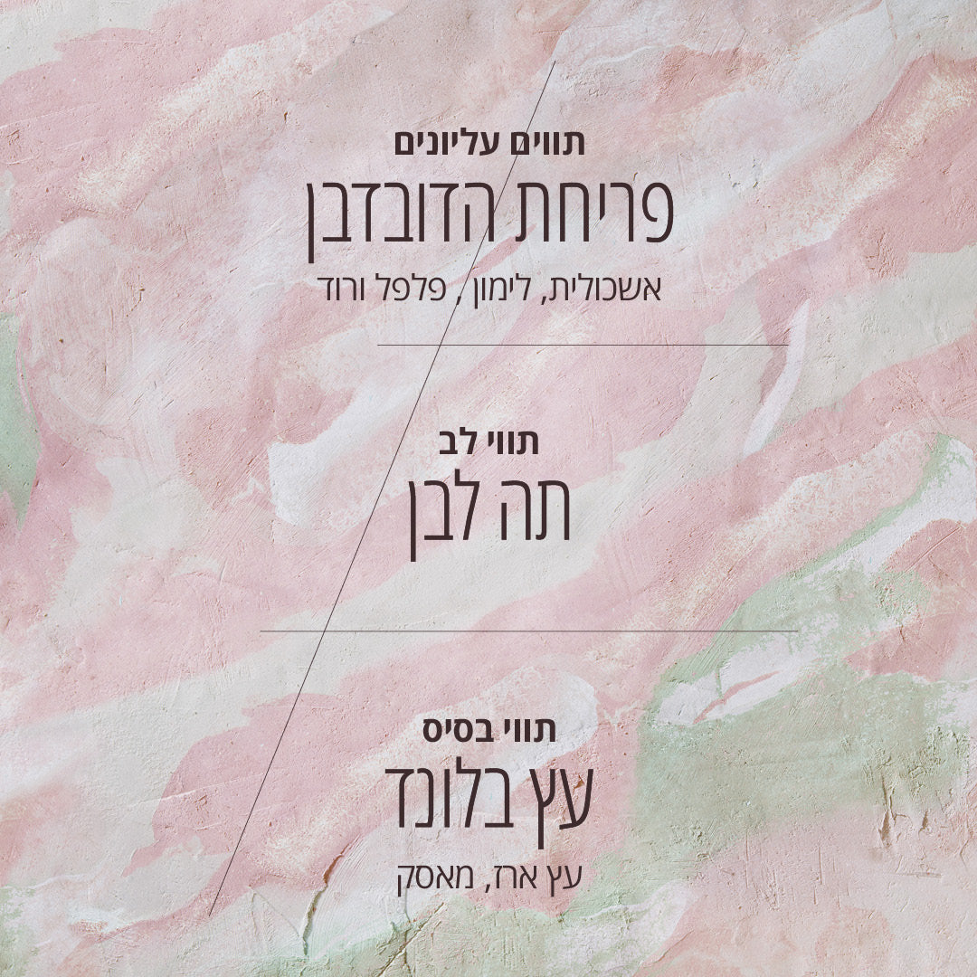 תמונה ממוזערת 3