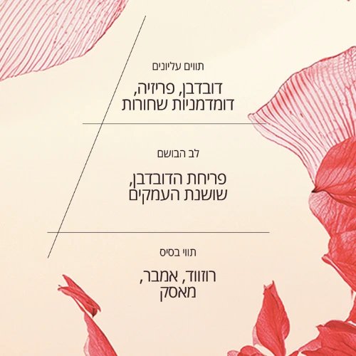 תמונה ממוזערת 2