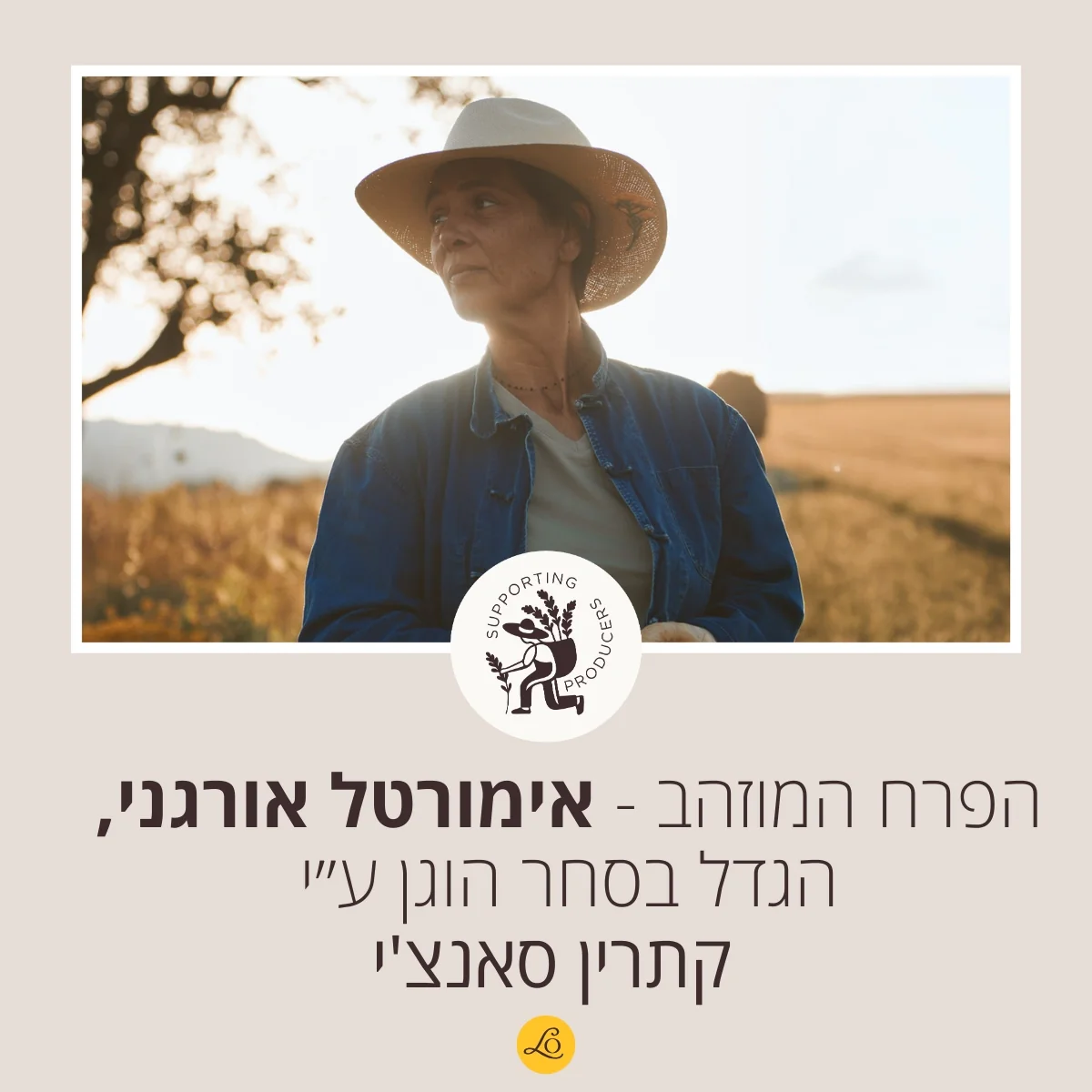 תמונה ממוזערת 5