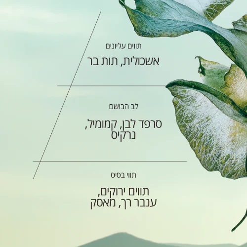 תמונה ממוזערת 2