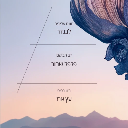 תמונה ממוזערת 2