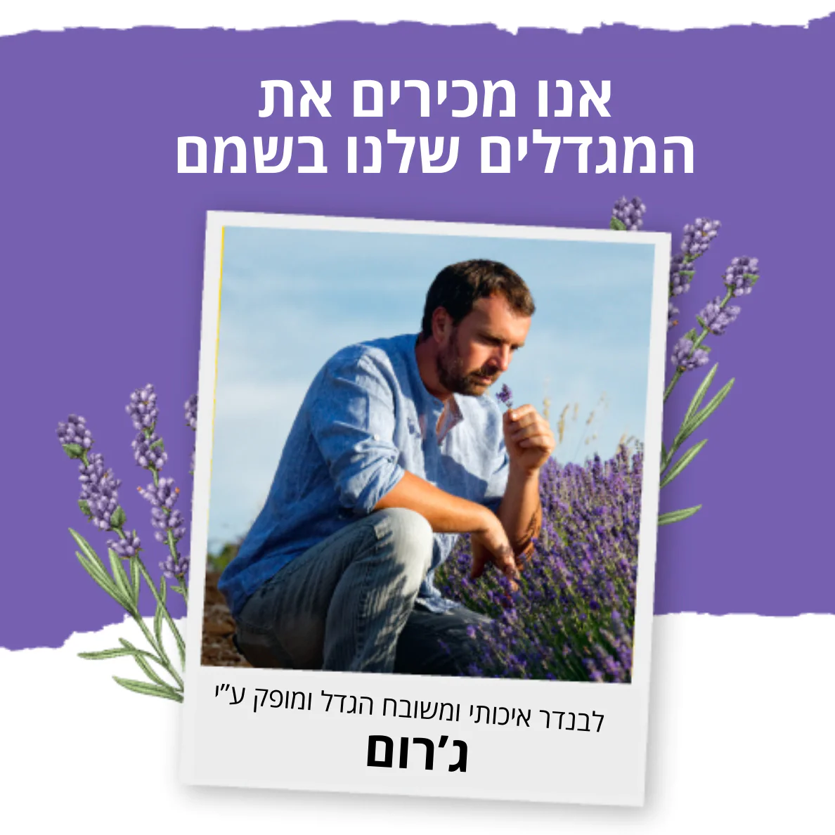 תמונה ממוזערת 3