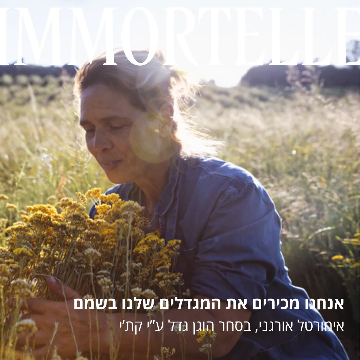 תמונה ממוזערת 4