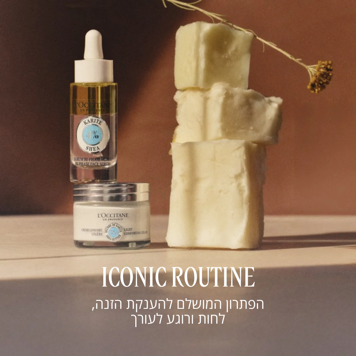 תמונה ממוזערת 3