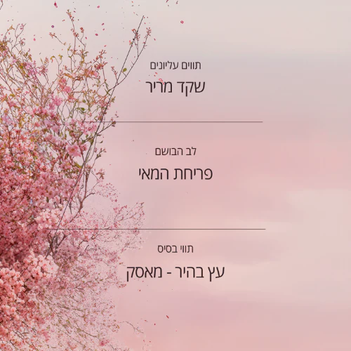 תמונה ממוזערת 2