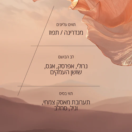 תמונה ממוזערת 4