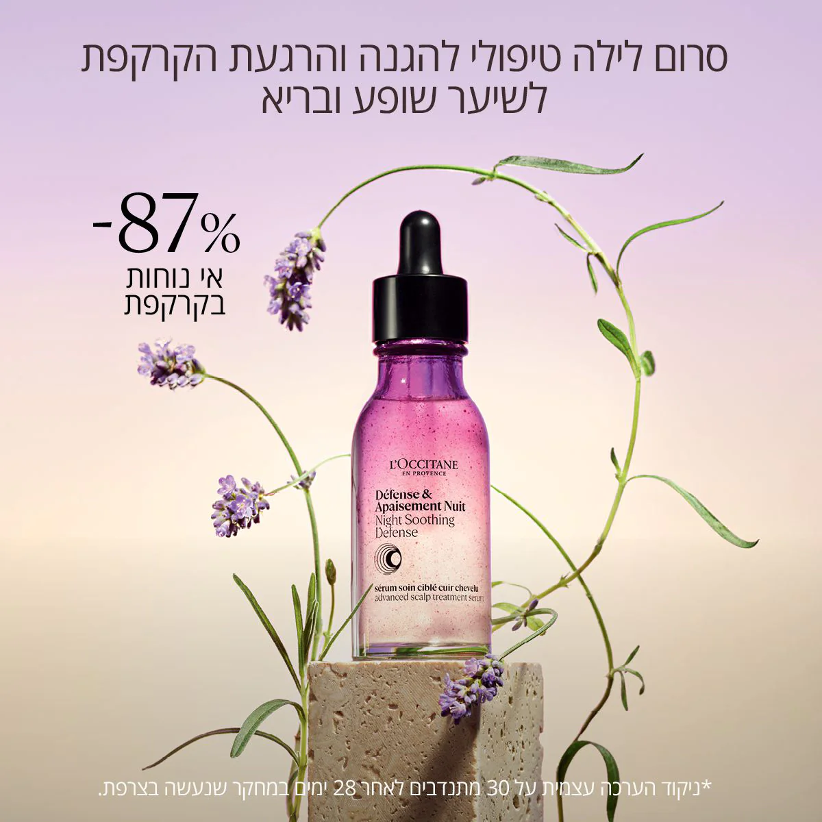 תמונה ממוזערת 2