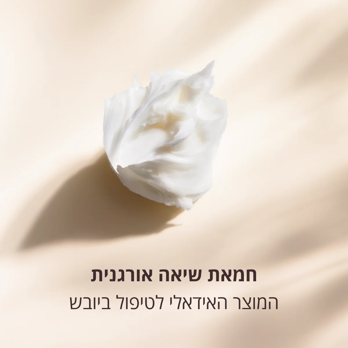 תמונה ממוזערת 3