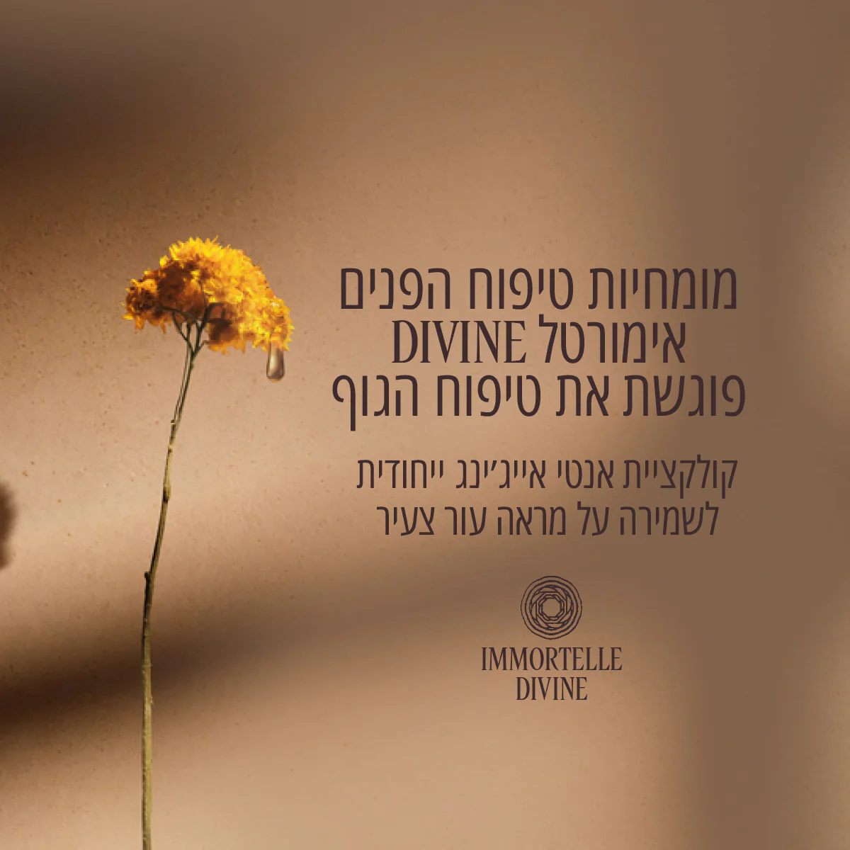 תמונה ממוזערת 6