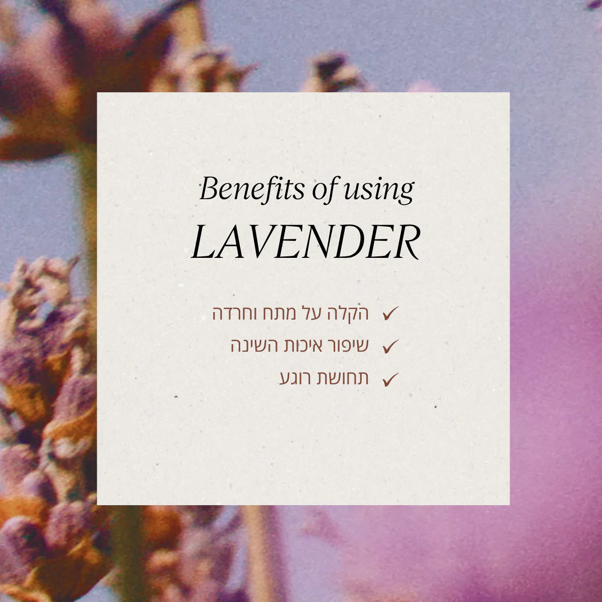 תמונה ממוזערת 5