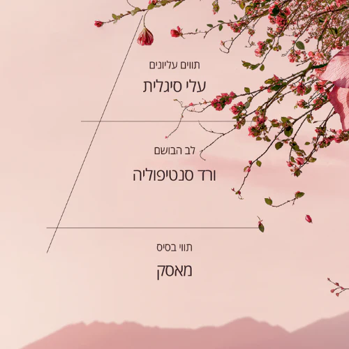 תמונה ממוזערת 5