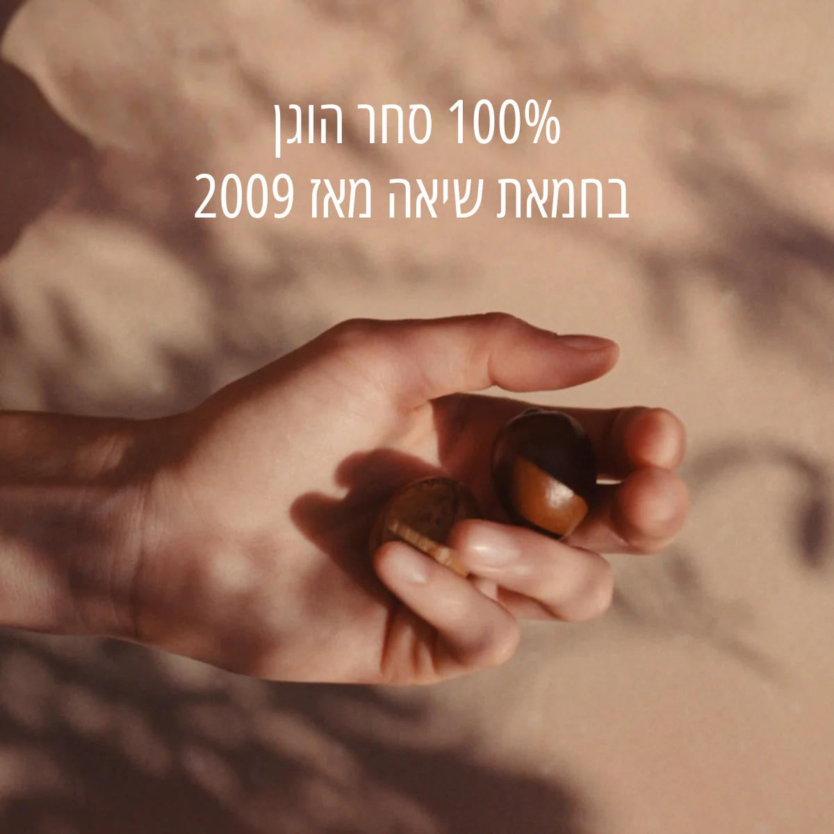 תמונה ממוזערת 6