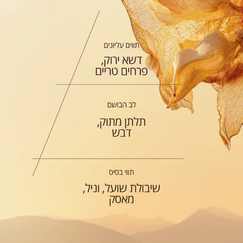 תמונה ממוזערת 2