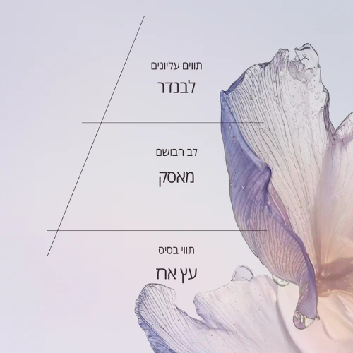 תמונה ממוזערת 4