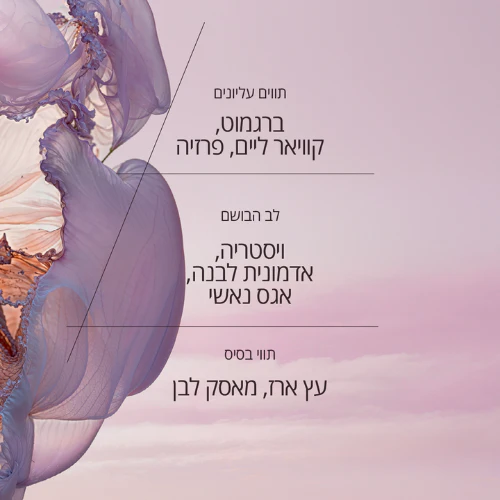 תמונה ממוזערת 4